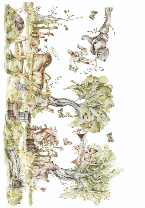 PE113 - BOSQUE ENCANTADO