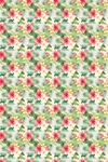 PED122 - FLORES TROPICALES