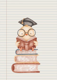 Pack de 8 separadores A5 - Estudio - tienda online