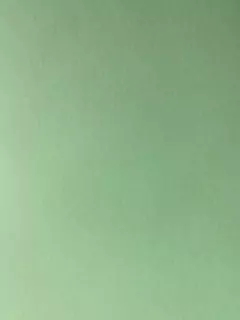 CARTULINA A3 TEÑIDA EN MASA DE 180 GRS. en internet