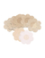 Nipple Pad Pétalo XL - comprar online