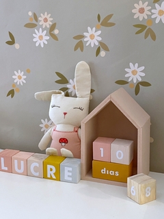 Set crecimiento + Casita mediana - Ollie MiniDeco Online