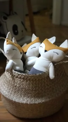 Zorrito Eusebio en internet