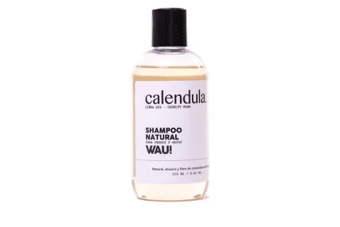 SHAMPOO CALENDULA