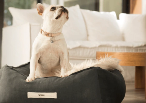 FUNDA BOX GRAFITO - WAU!