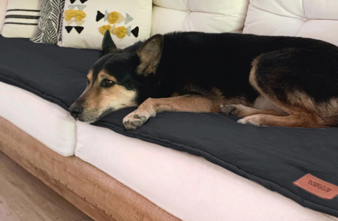 PILLOW GRAFITO en internet