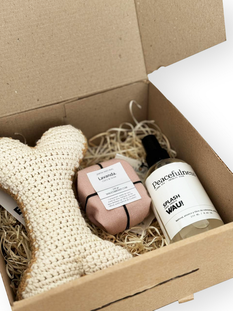 BOX XMAS BONE - WAU!