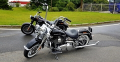 Bagageiro do Para-lama / Grelha - CROMADO - Harley Davidson - Heritage (2006-2017) - Ronco V2