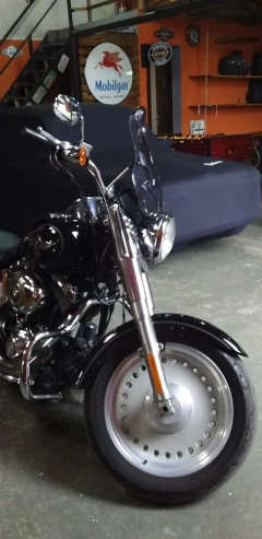 Mata cachorro/Protetor de Motor - Moustache - CROMADO - Harley Davidson - FX (2006-2017) - comprar online