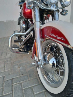 Mata cachorro/Protetor de Motor - Moustache - PRETO - Harley Davidson - Deluxe (2006-2017) - comprar online