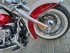 Mata cachorro/Protetor de Motor - Moustache - PRETO - Harley Davidson - Fat Boy (2006-2017) - loja online