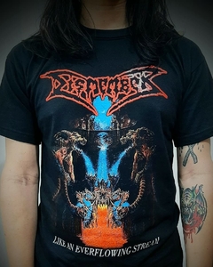 Remera Dismember - Like an Everflowing Stream