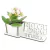 Porta Flores Display Nome Personalizado MDF Branco - Nutrição