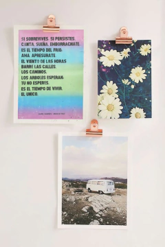 ¡PACK! Postales Callejeras x 4 en internet