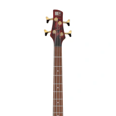 Bajo Eléctrico Ibanez SR300EDX WZM Pereira