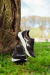 Zapatillas Jazz Negro
