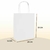 PACK. X 25 BOLSA BLANCA 33*25*13 en internet