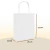 PACK. X 25 BOLSA BLANCA 33*25*13 en internet