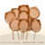 PACK X 12 FLIP PIZARRA NATURAL