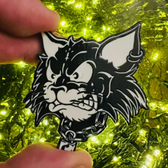 BANDO PIN en internet