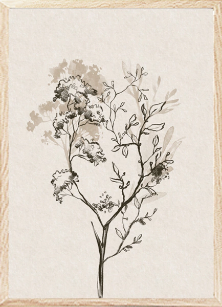 (1678) NEUTRAL BOTANICAL