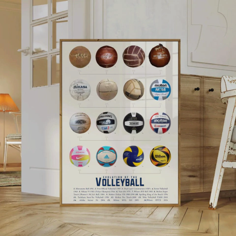 (2300) EVOLUCION DEL VOLEIBOL - comprar online