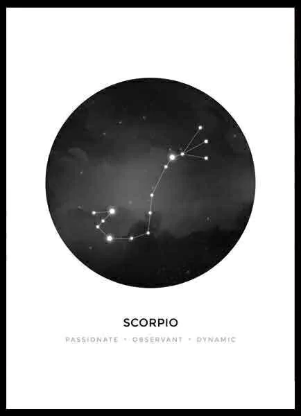 (216) ESCORPIO - comprar online