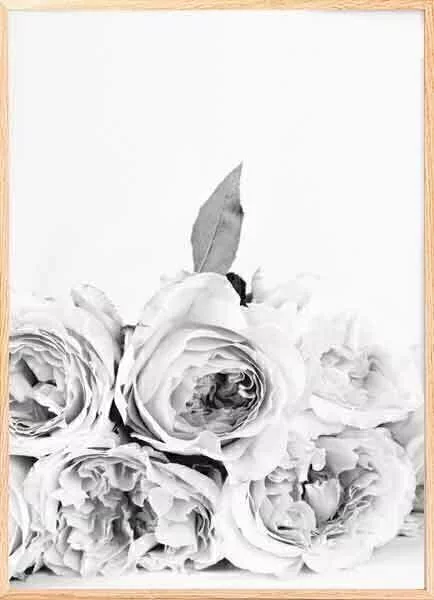 (288) FLORES B&N 1 - comprar online