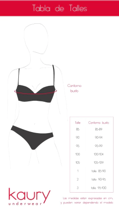 Conjunto de microfibra y puntilla. Corpiño taza soft con push up y cola less. Art 4000 en internet