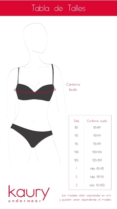 Conjunto de microfibra y puntilla. Corpiño nueva taza soft con push up y cola less. Art 4790 - tienda online