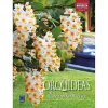 ORQUÍDEAS DENDROBIUM