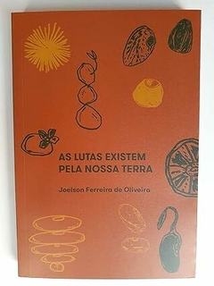 As lutas existem pela nossa terra