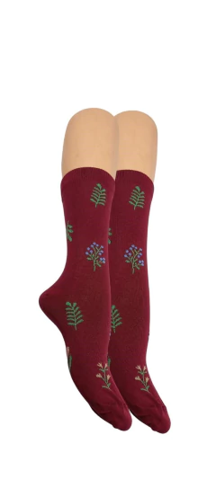 MEDIA CAÑA RAMO (02806) - ALMACÉN DE MEDIAS