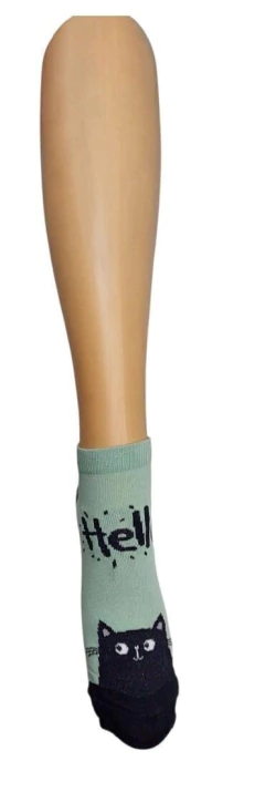 PLANTIN GATITO HELLO (01836) en internet