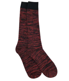 MEDIA CAÑA INVIERNO (04172) en internet