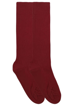 MEDIA COLEGIAL (02829) en internet