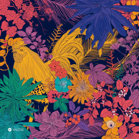 preorder pañuelo gallo - comprar en línea