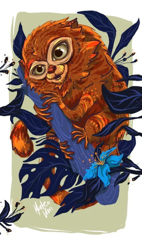 DONACIÓN MONO TITI PIGMEO