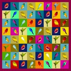 PAÑUELO PAJAROS