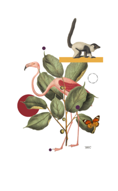 PREORDEN CAMISETA FLAMINGO - comprar online