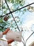 CARTERA POLINESIA BLANCA - comprar online