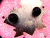 Prendedor So Fancy by MAKO FUFU - comprar online