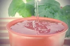 Aceite Esencial De Tea Tree Puro Acne 15m - comprar online