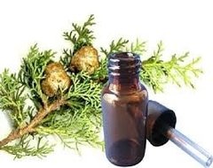 Aceite Esencial Puro De Cipres X 15 Ml Saiku Natural - comprar online