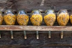 Aceite De Arnica Puro Por 30 Ml. en Villa Urquiza - Saiku Natural 