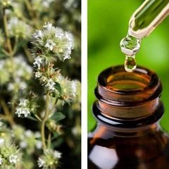 Esencial Puro De Mejorana (Origanum Majorana) - Saiku Natural 