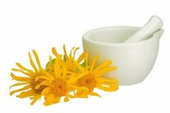 Aceite De Arnica Puro Por 250 Ml Saiku Villa Urquiza en internet