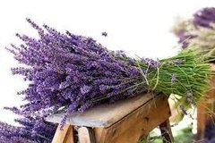 Unico Aceite Vegetal De Lavanda 30ml - Saiku Natural 