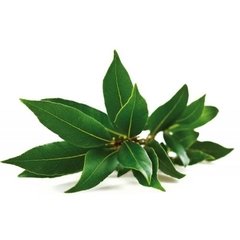 Aceite Esencial De Laurel Noble Envase 15 Ml en internet