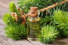 Imagen de Aceite Esencial De Cedro 100% Puro Envase De 15 Ml Natural